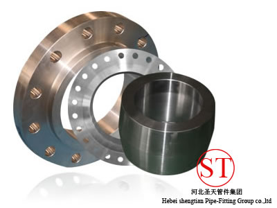 class 150/300/600/900 forged flanges